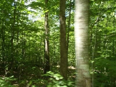 100 Edwards Road Stanton, KY 40380 - Photo 13 of 22 Photo 13