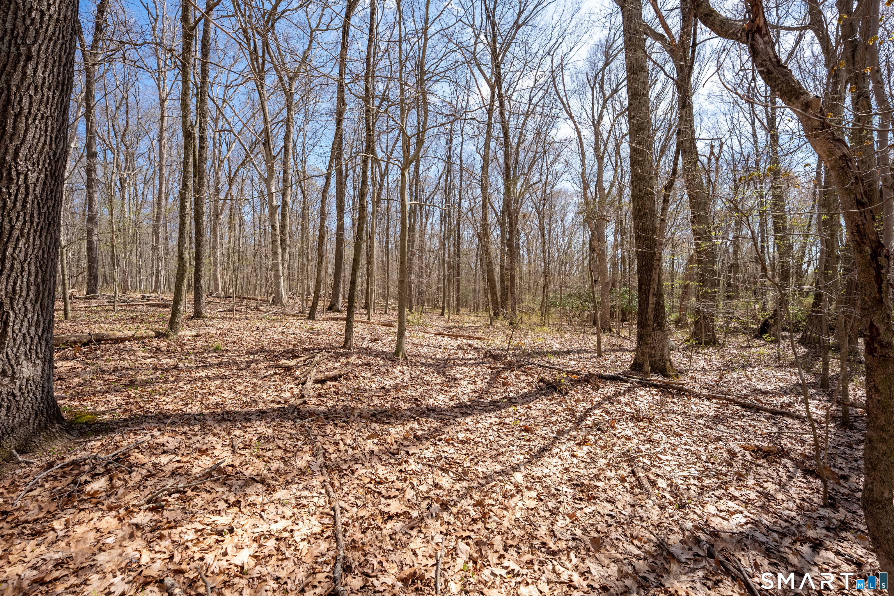 0 Cold Spring Road East Haddam, CT 06423 - Photo 7 of 14 Gallery Image 7