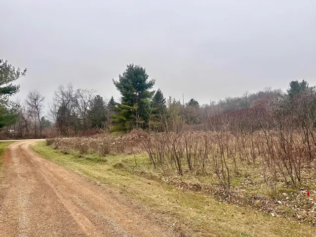 $150,000 | Lot 1 County Road, River Falls, WI 54022