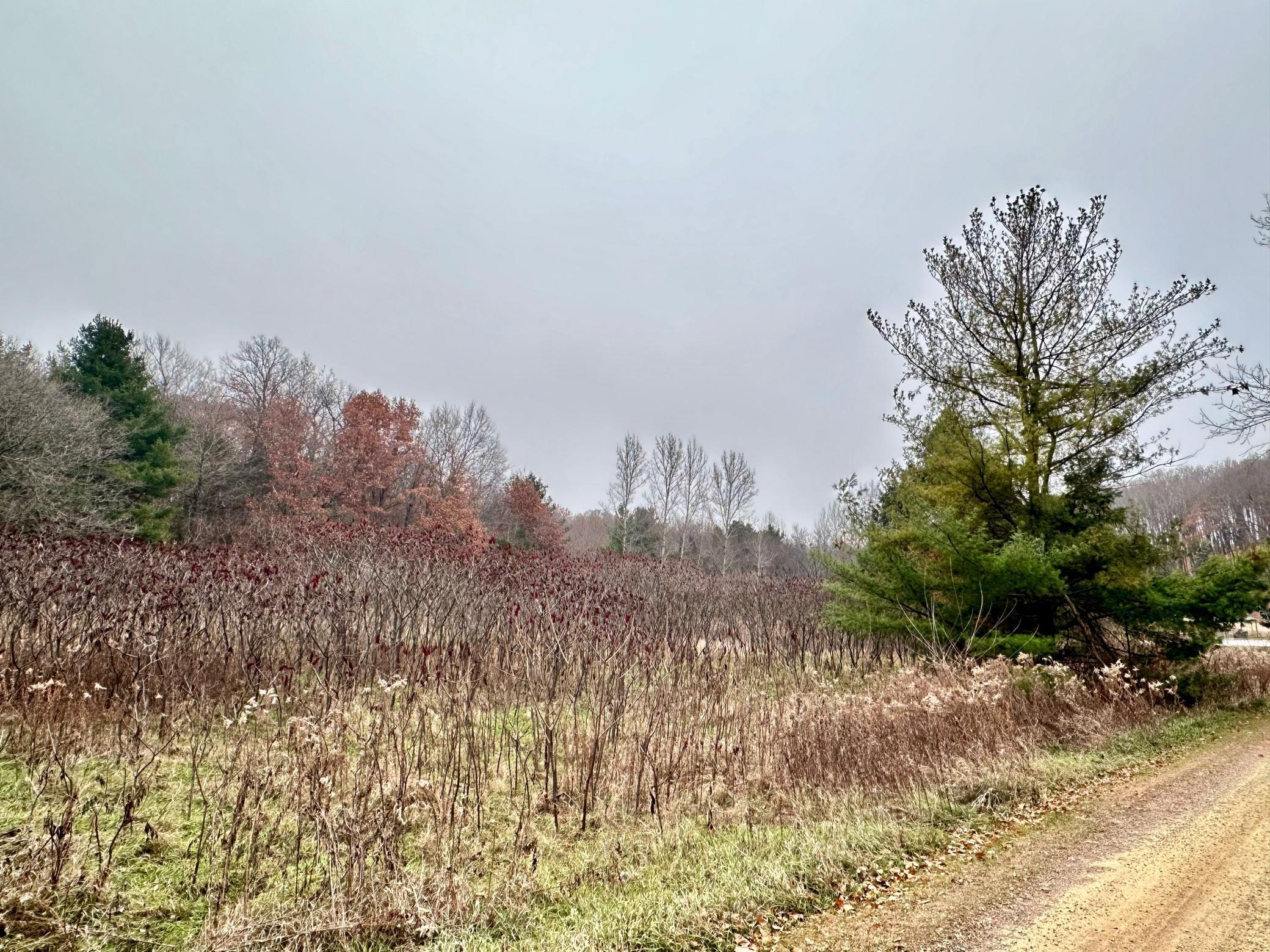 Lot 1 County Road River Falls, WI 54022 - Photo 5 of 7