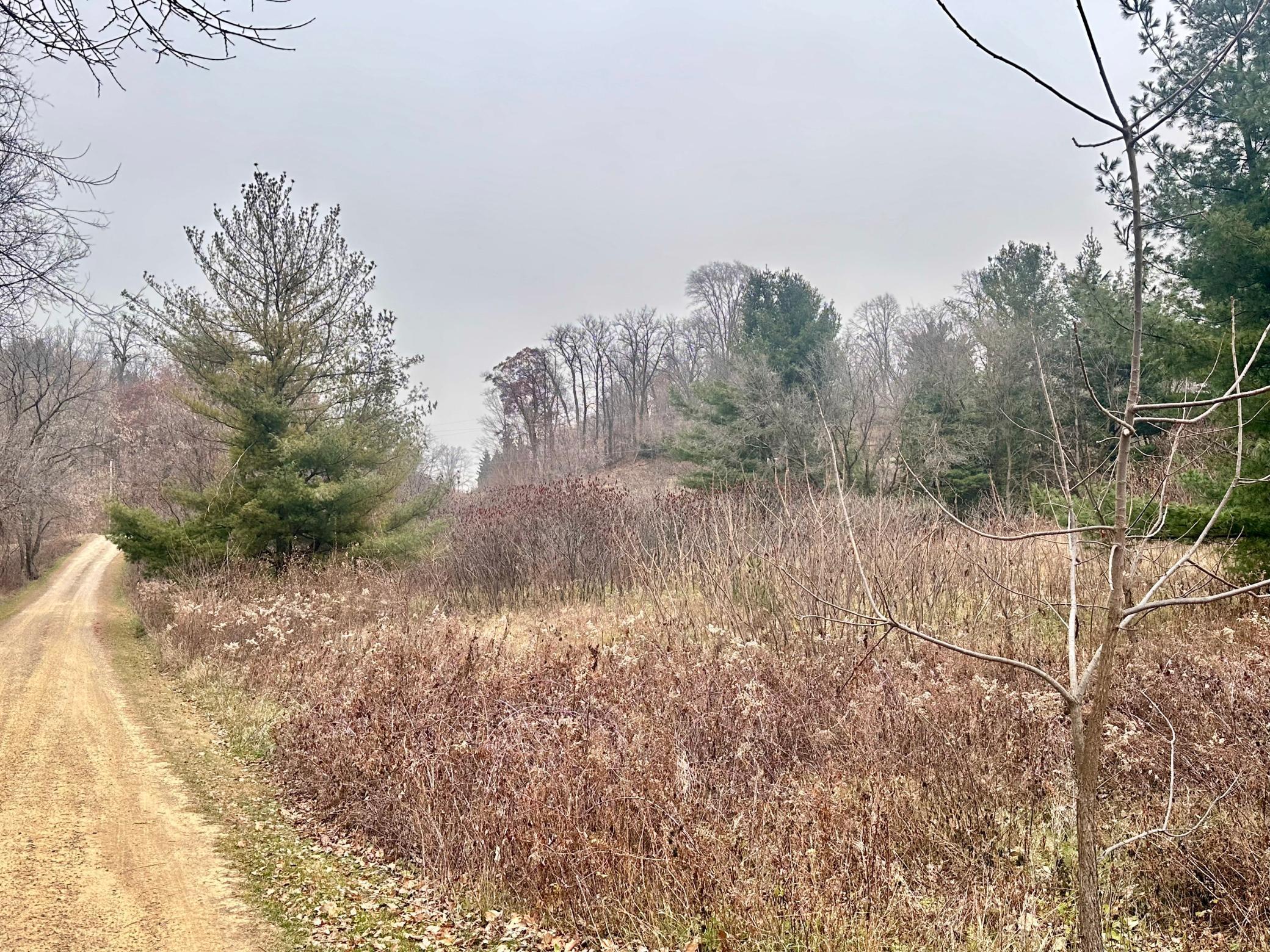 Lot 1 County Road River Falls, WI 54022 - Photo 7 of 7
