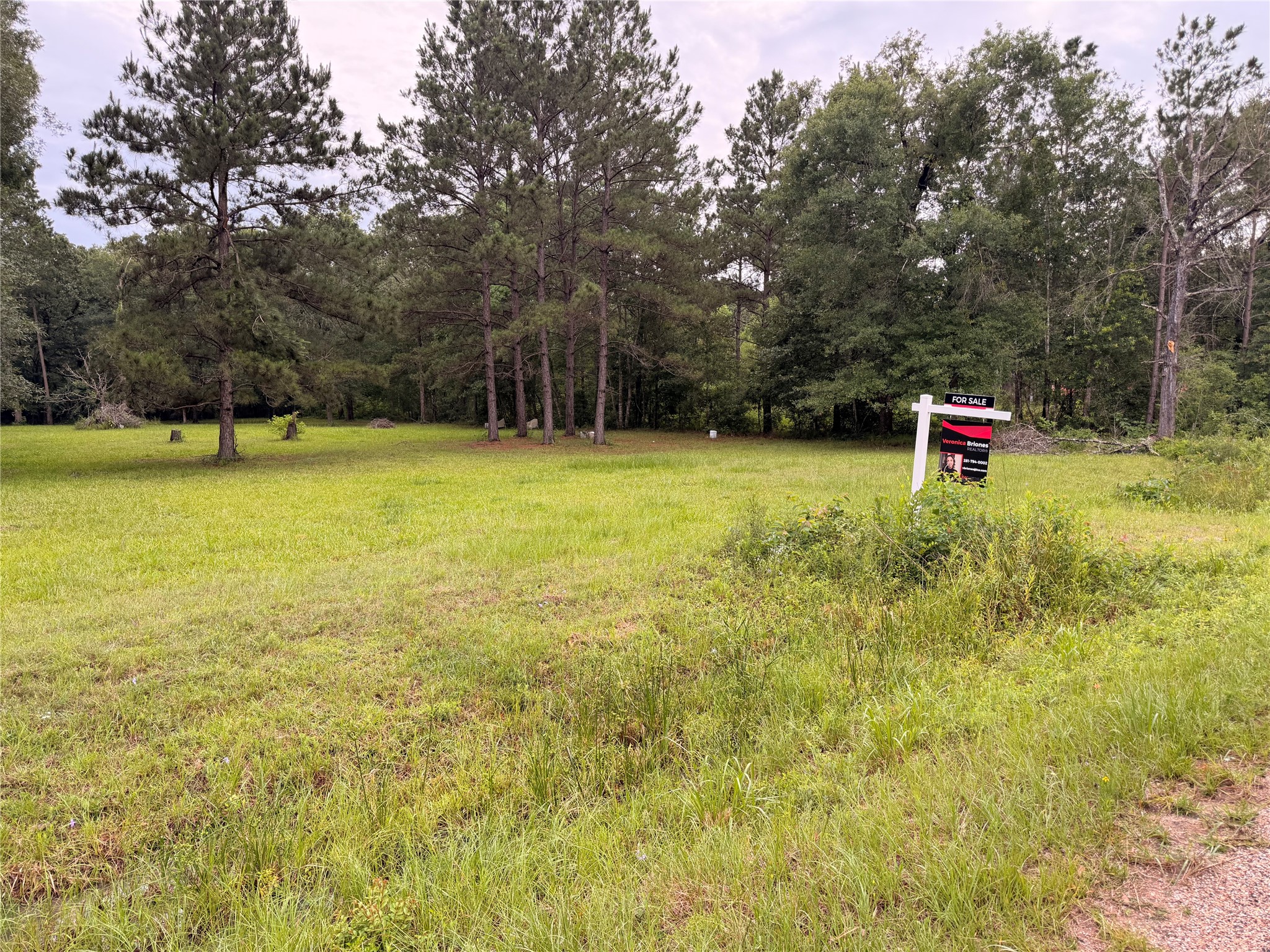 0 Forest Trail Conroe, TX 77306 - Photo 5 of 7 a backyard of a house with swimming pool and wooden fence