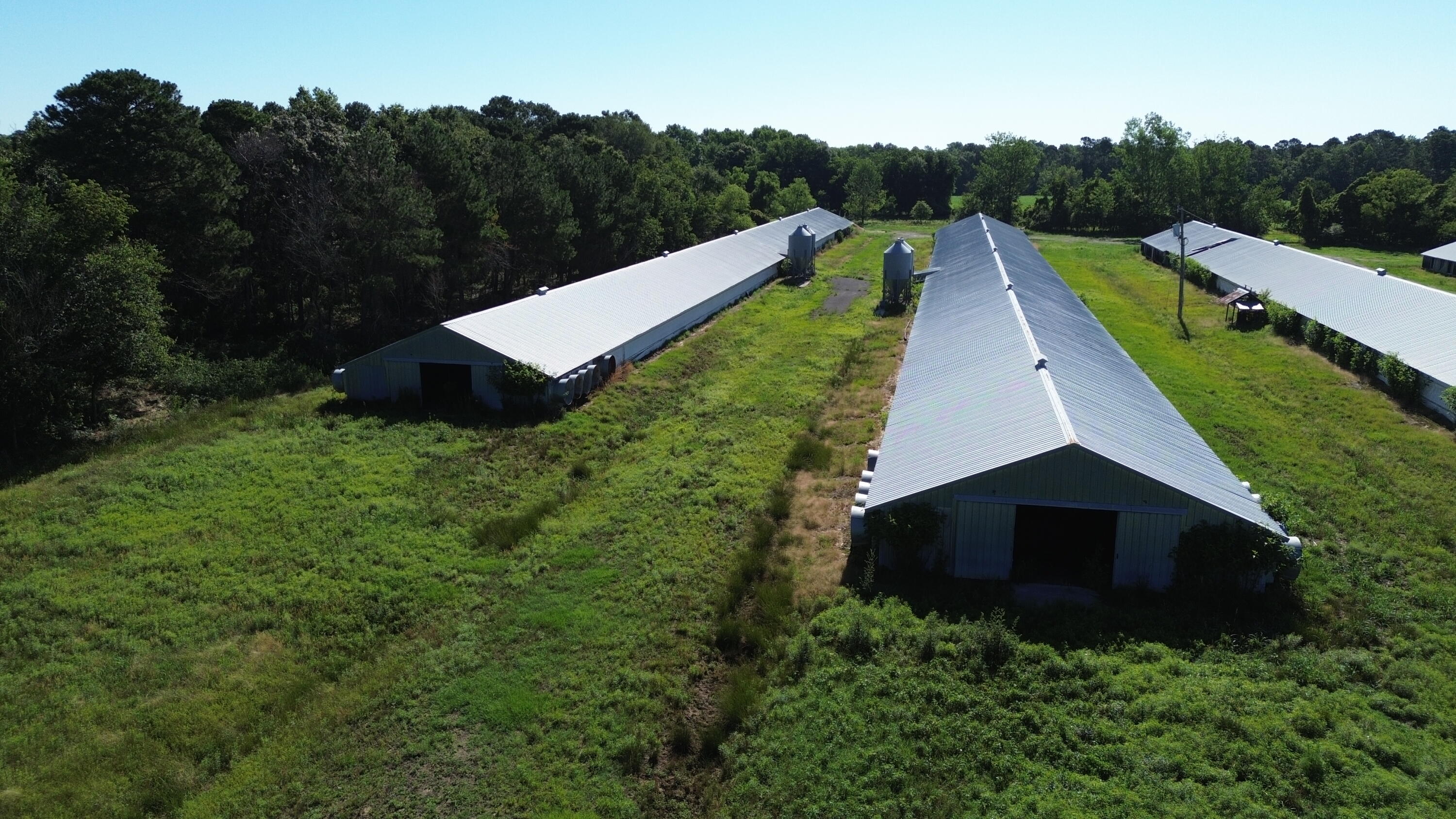 0 Holladay Road Manning, SC 29102 - Photo 5 of 35