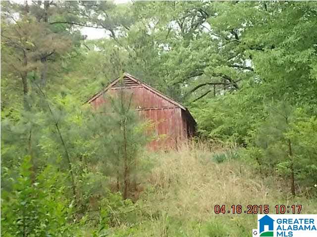 5450 Rosemary Road Mount Olive, AL 35117 - Photo 3 of 4