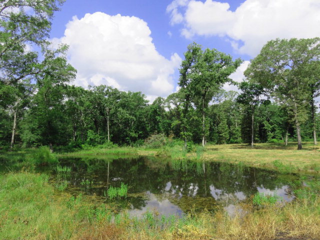 0 AN County Road Tennessee Colony, TX 75861 - Photo 1 of 1