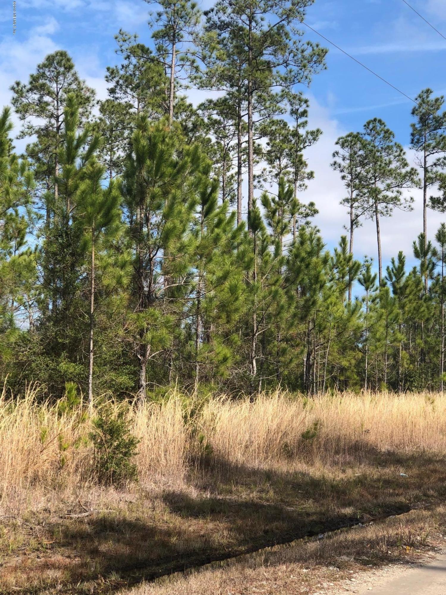 34619 Mitigation Trail Callahan, FL 32011 - Photo 11 of 16 33229 Mitigation Trl