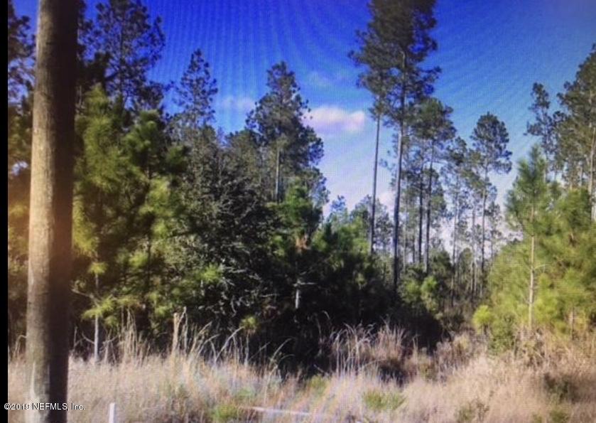 34619 Mitigation Trail Callahan, FL 32011 - Photo 5 of 16 Lot 55 view 2