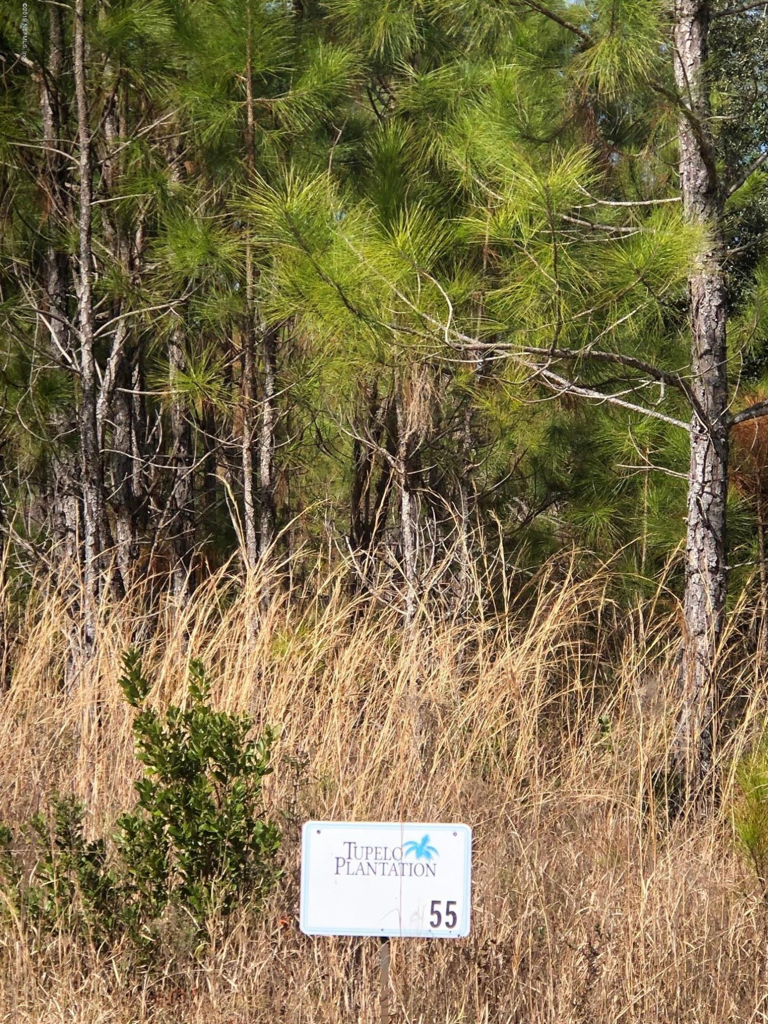 34619 Mitigation Trail Callahan, FL 32011 - Photo 6 of 16 Lot 55