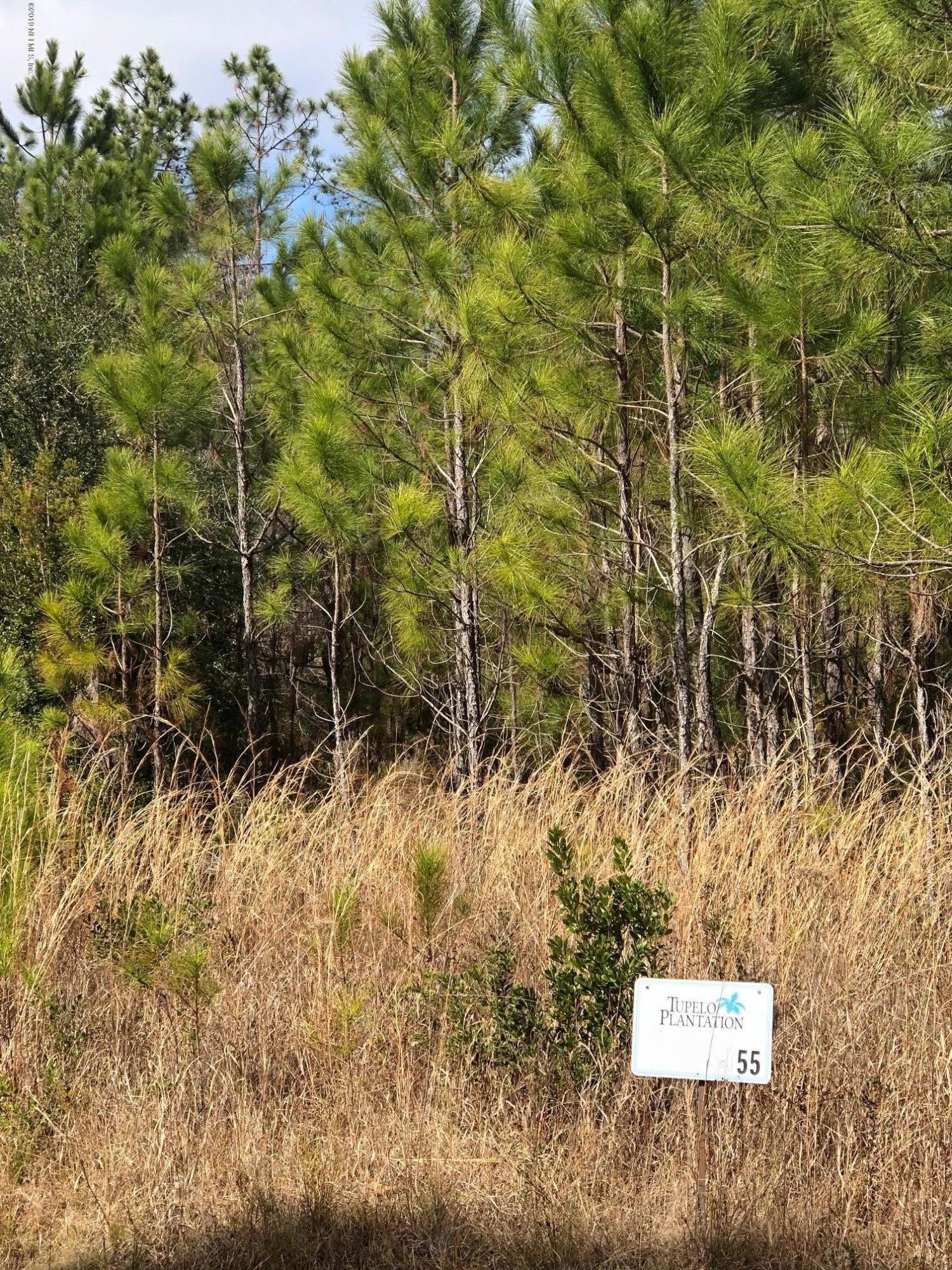 34619 Mitigation Trail Callahan, FL 32011 - Photo 7 of 16 Lot 55