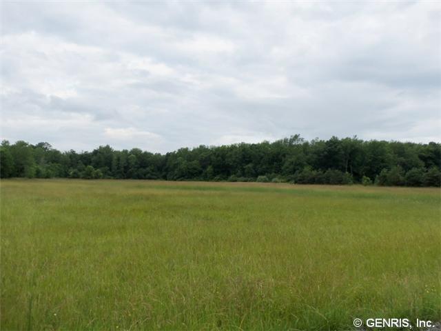 0 Hartland Road Gasport, NY 14067 - Photo 2 of 7 Land