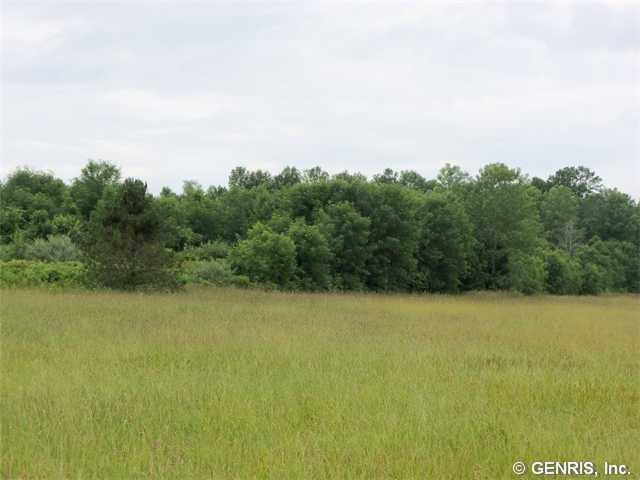 0 Hartland Road Gasport, NY 14067 - Photo 3 of 7 Land