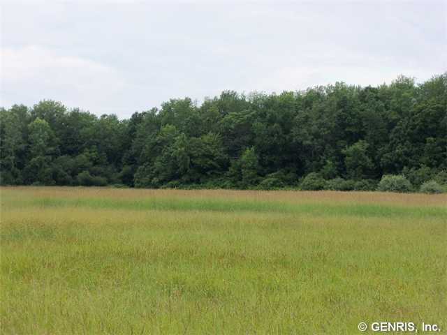 0 Hartland Road Gasport, NY 14067 - Photo 4 of 7 Land