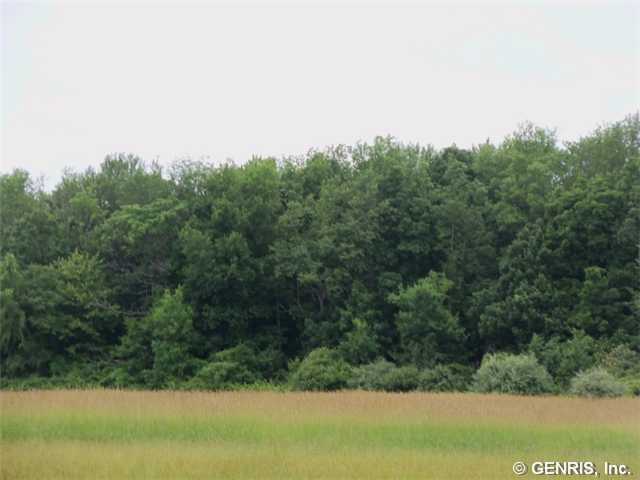 0 Hartland Road Gasport, NY 14067 - Photo 5 of 7 Land