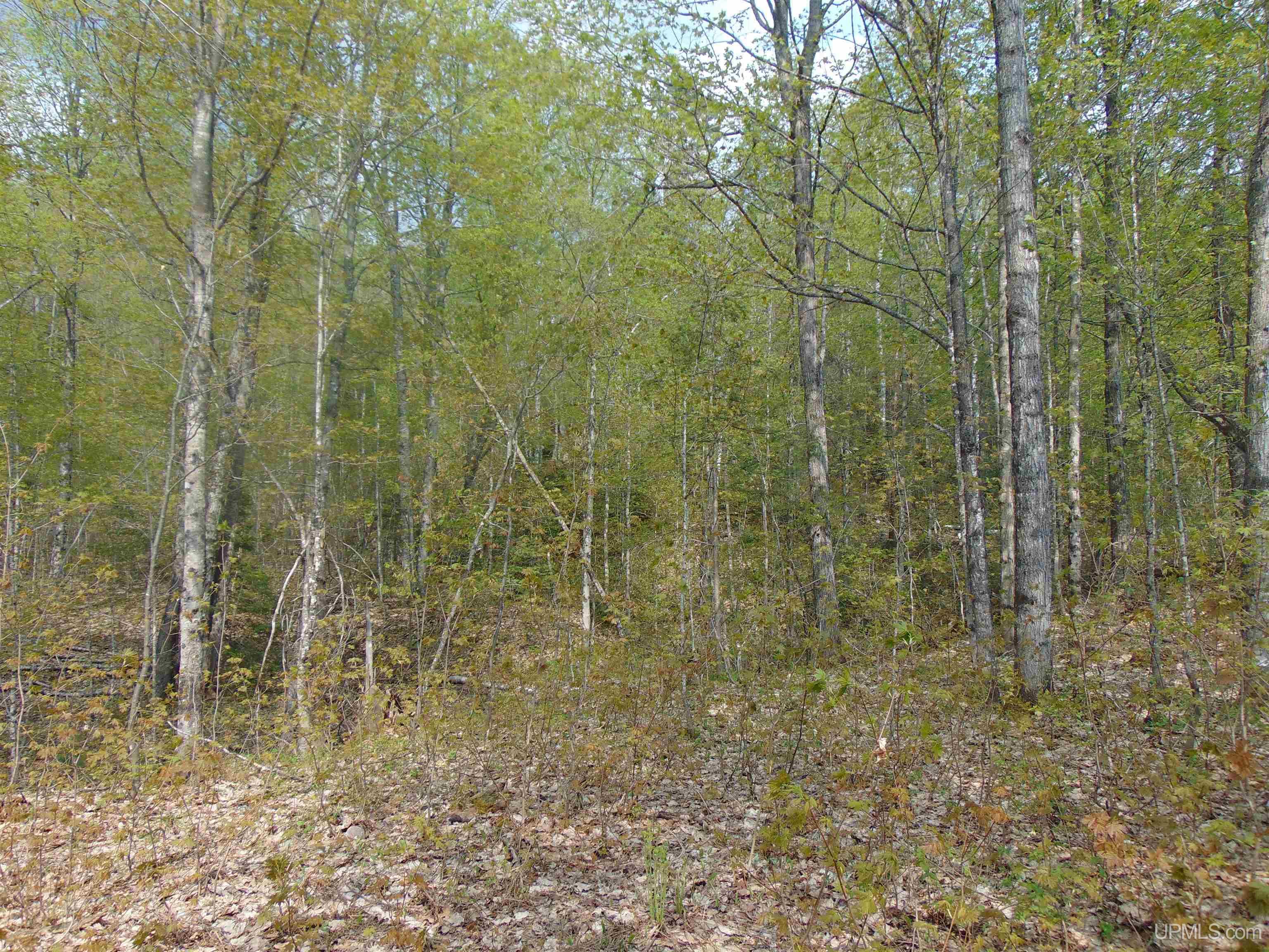 Tbd 100-ac Tbd 100-ac Co Road Ishpeming, MI 49849 - Photo 7 of 28