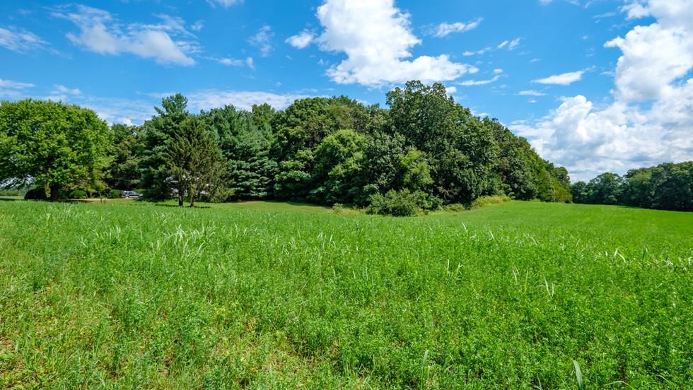 9705 Port Republic Road Port Republic, VA 24471 - Photo 2 of 12 Gallery Image 2
