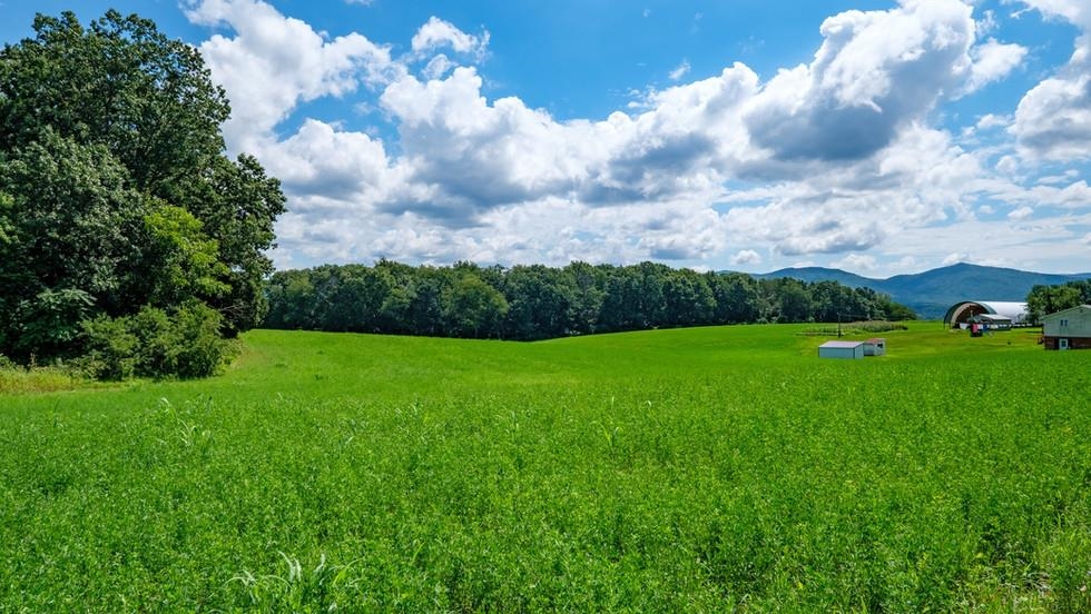 9705 Port Republic Road Port Republic, VA 24471 - Photo 4 of 12 Gallery Image 4