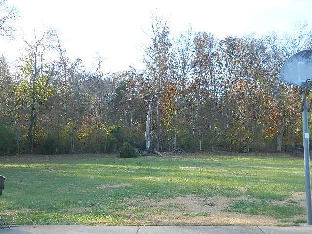 1009 Rutledge Drive Rockvale, TN 37153 - Photo 3 of 12 Gallery Image 3