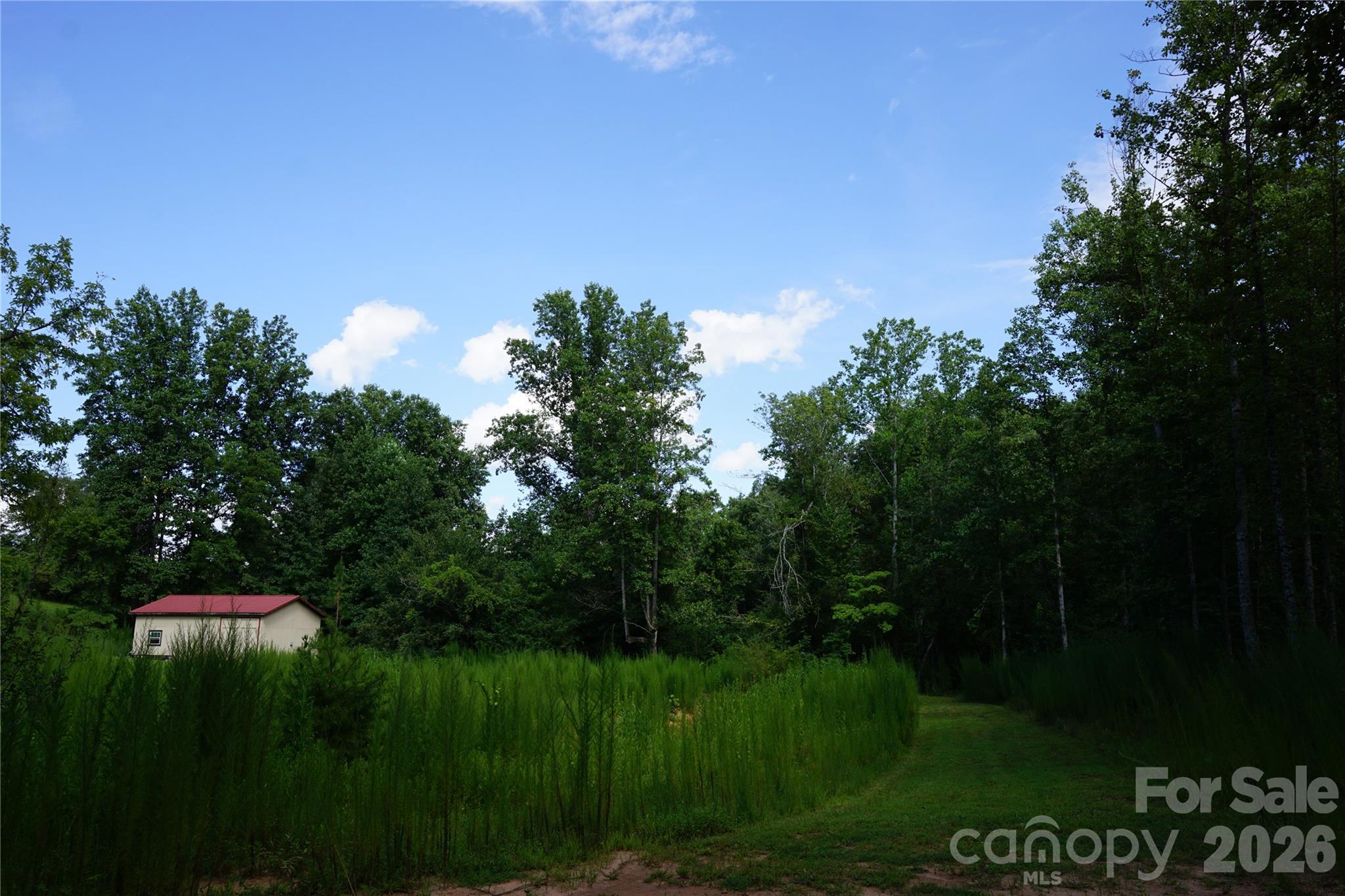 1239 Mcguinn Road Mill Spring, NC 28756 - Photo 32 of 46 Gallery Image 32
