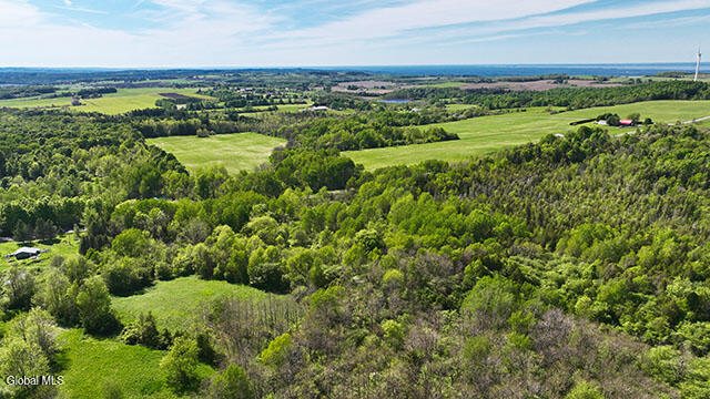 L42 Buyea Road Cazenovia, NY 13035 - Photo 6 of 24 Buyea Rd Cazenovia NY-3