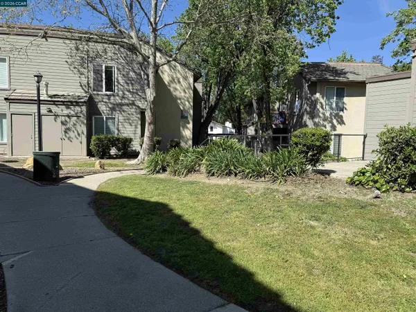 a view of backyard with large tree