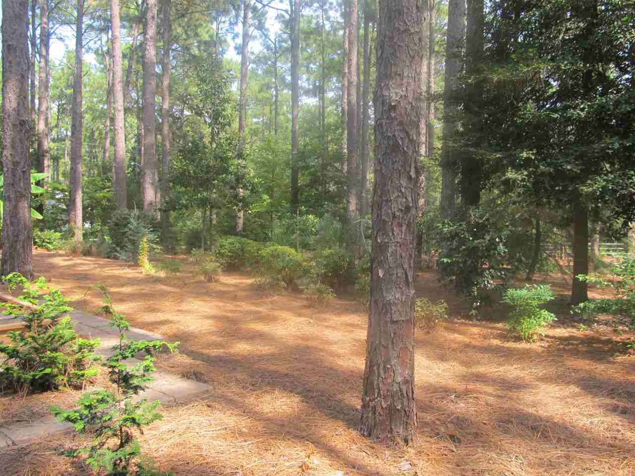 365 Pee Dee Road Southern Pines, NC 28387 - Photo 20 of 20 Additional Photo