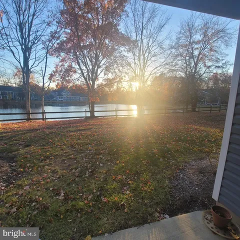 a view of yard with trees