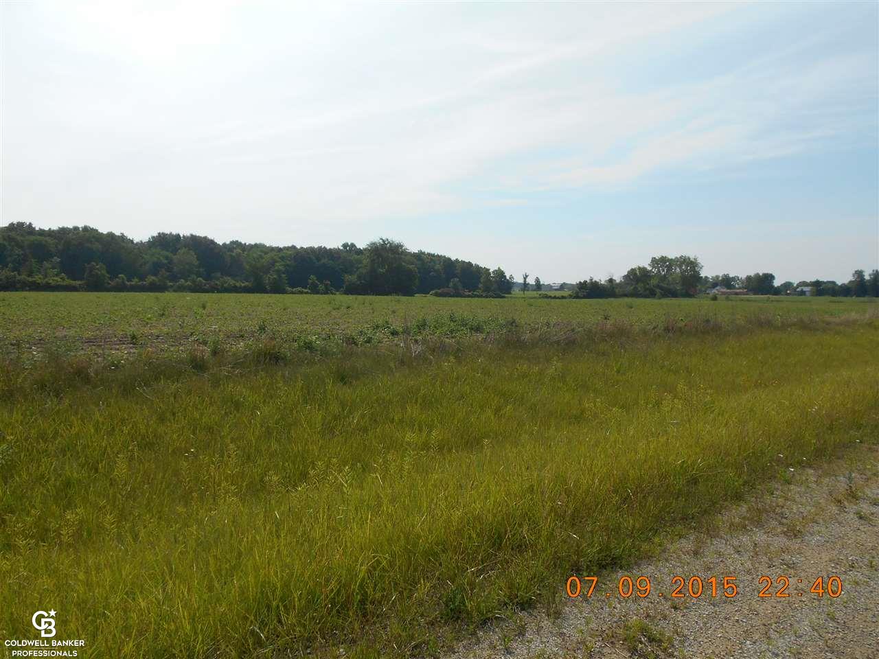 0 Burrwood Road, Unit 9 Memphis, MI 48041 - Photo 4 of 5