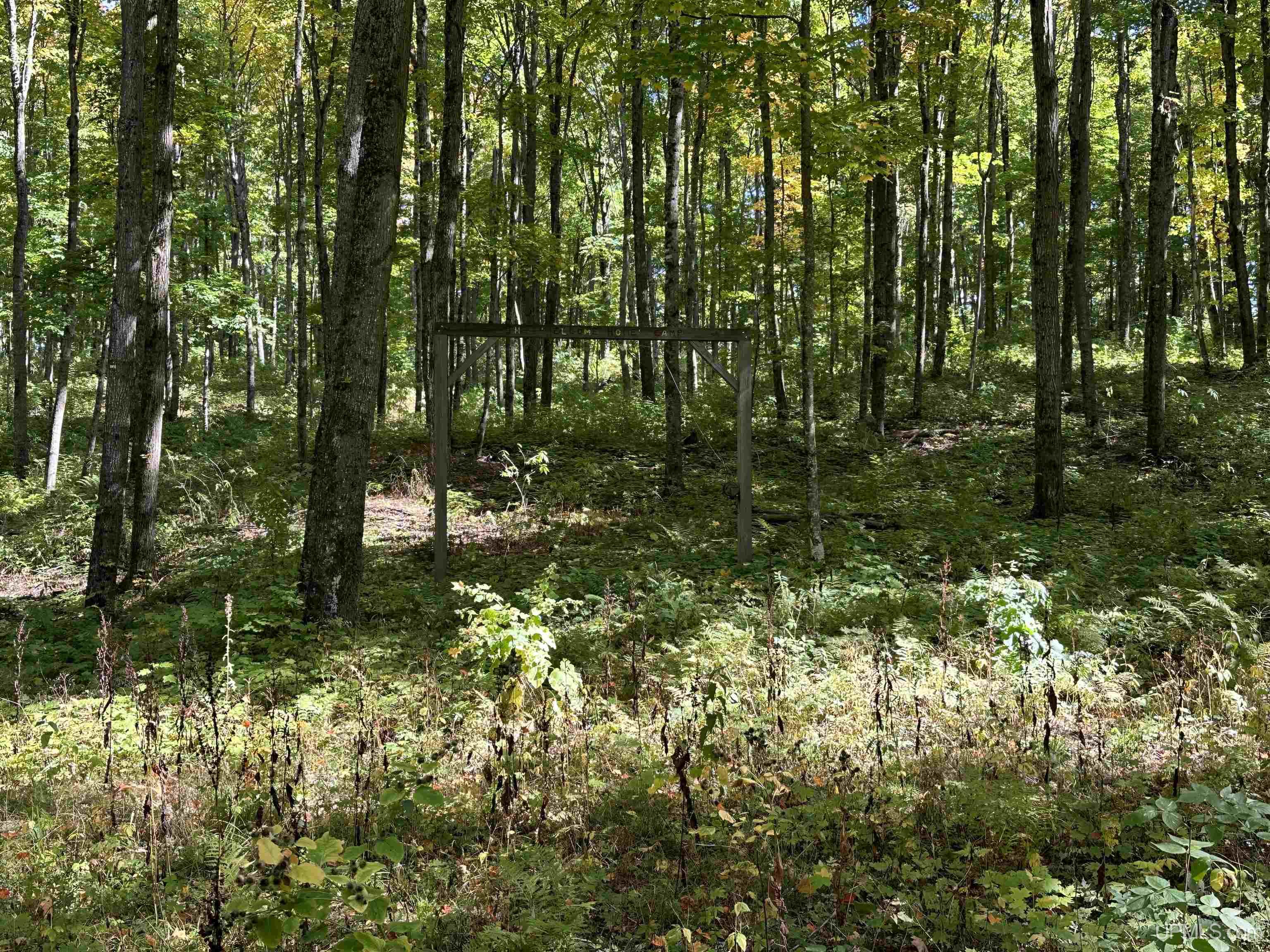 Off County Line Lake Road Bruce Crossing, MI 49912 - Photo 11 of 25