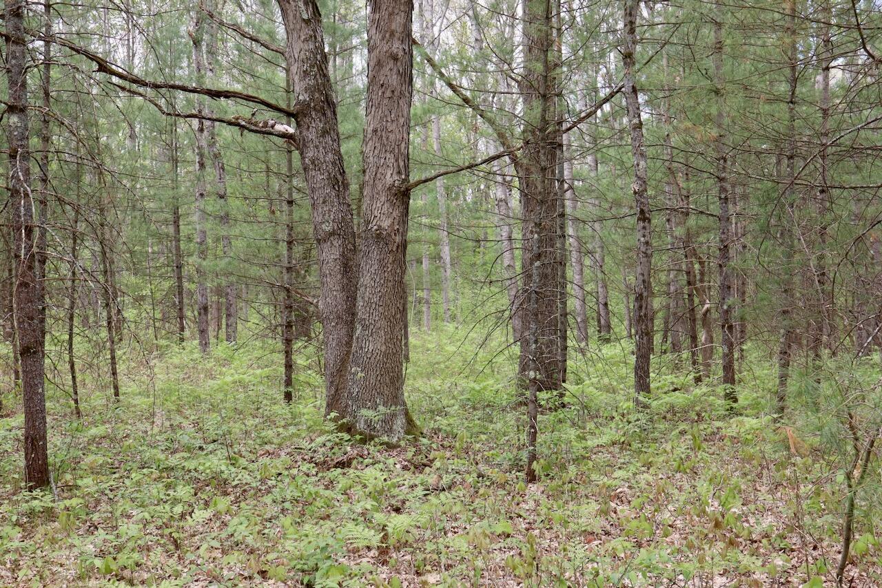 6153 South Branch Road Branch, MI 49402 - Photo 22 of 70 20a