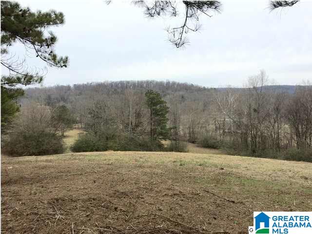 Lot 26 Heritage View Road, Unit 26 Shelby, AL 35143 - Photo 1 of 1