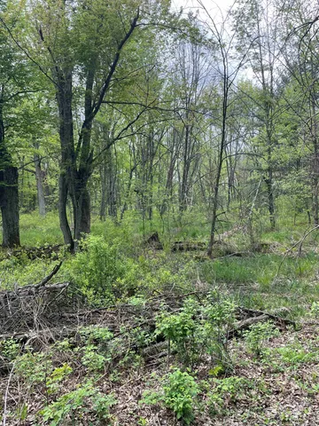 $80,000 | 1.62-ac Deer Run, Montello, WI 53949