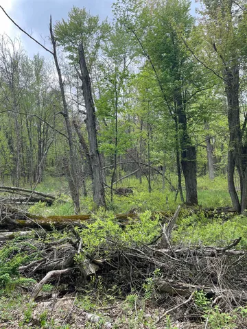 $80,000 | 1.62-ac Deer Run, Montello, WI 53949