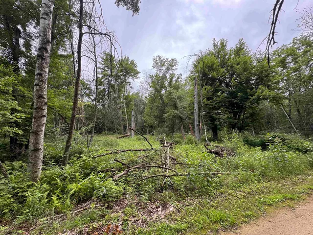 $80,000 | 1.62-ac Deer Run, Montello, WI 53949