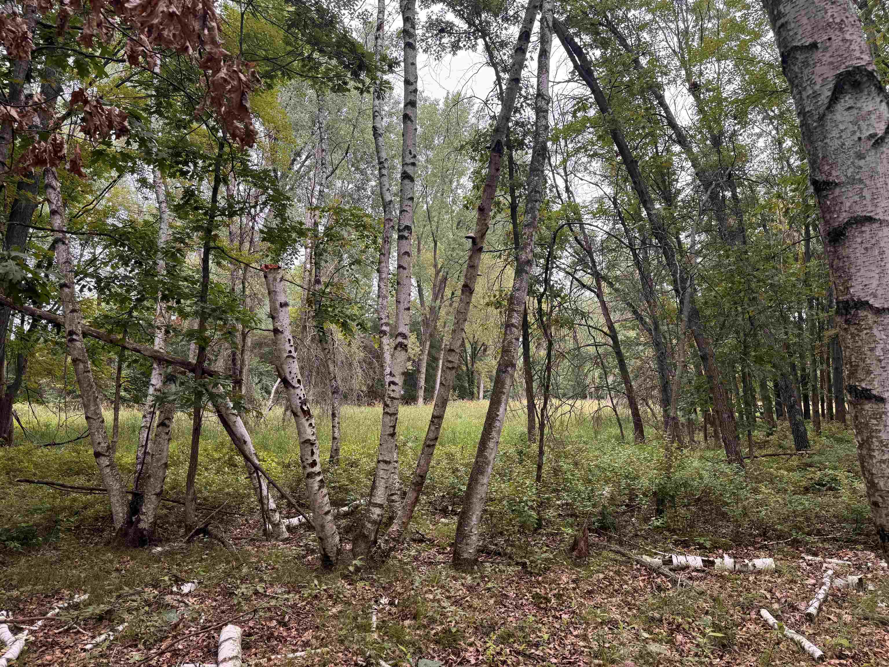 1.62-ac Deer Run Montello, WI 53949 - Photo 24 of 46