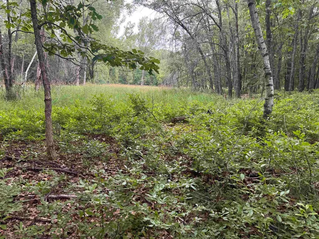 $80,000 | 1.62-ac Deer Run, Montello, WI 53949