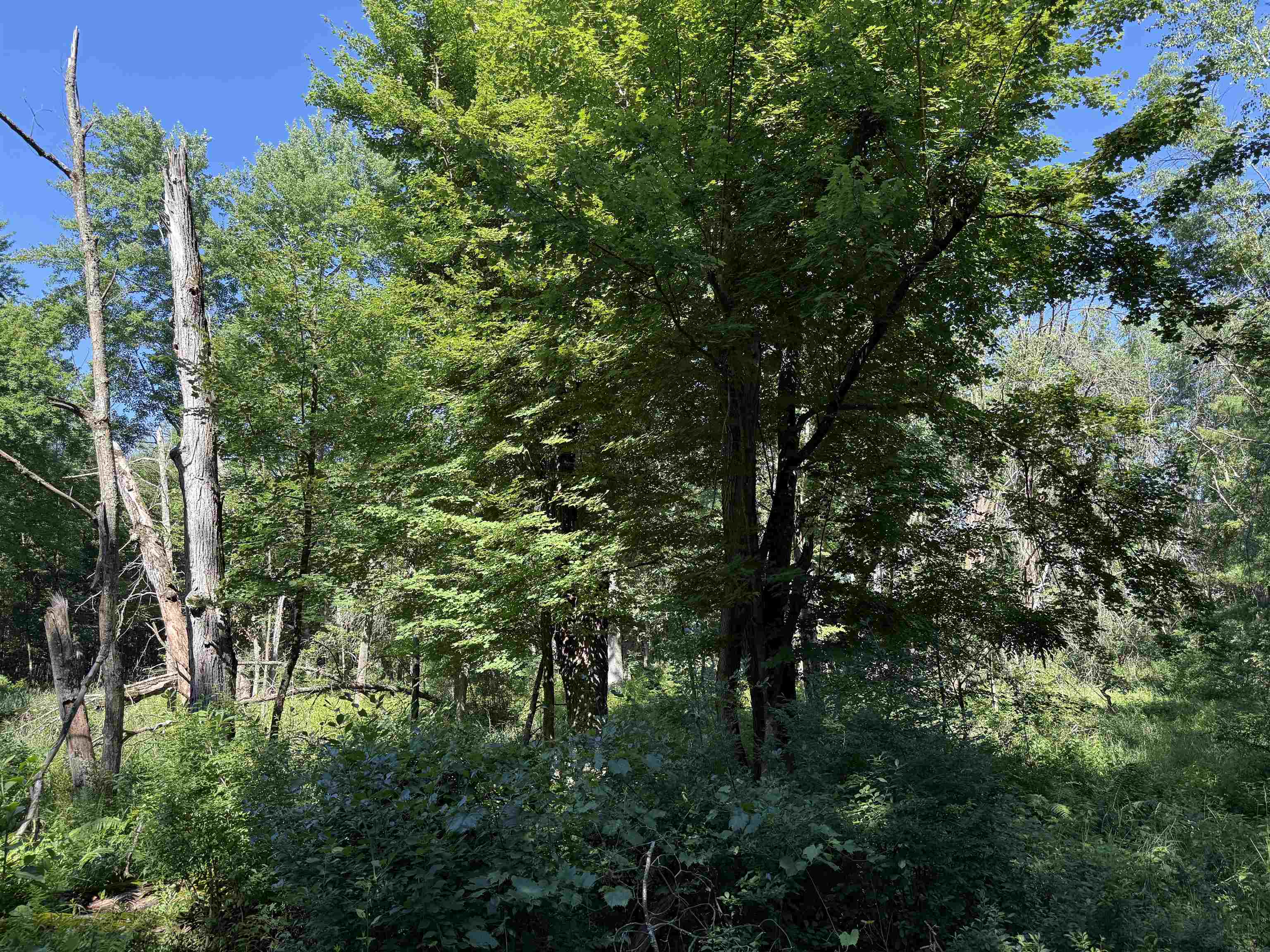 1.62-ac Deer Run Montello, WI 53949 - Photo 29 of 46