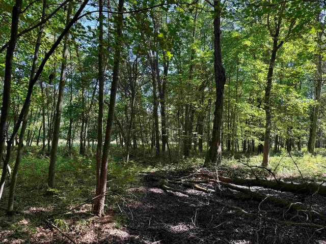 $80,000 | 1.62-ac Deer Run, Montello, WI 53949