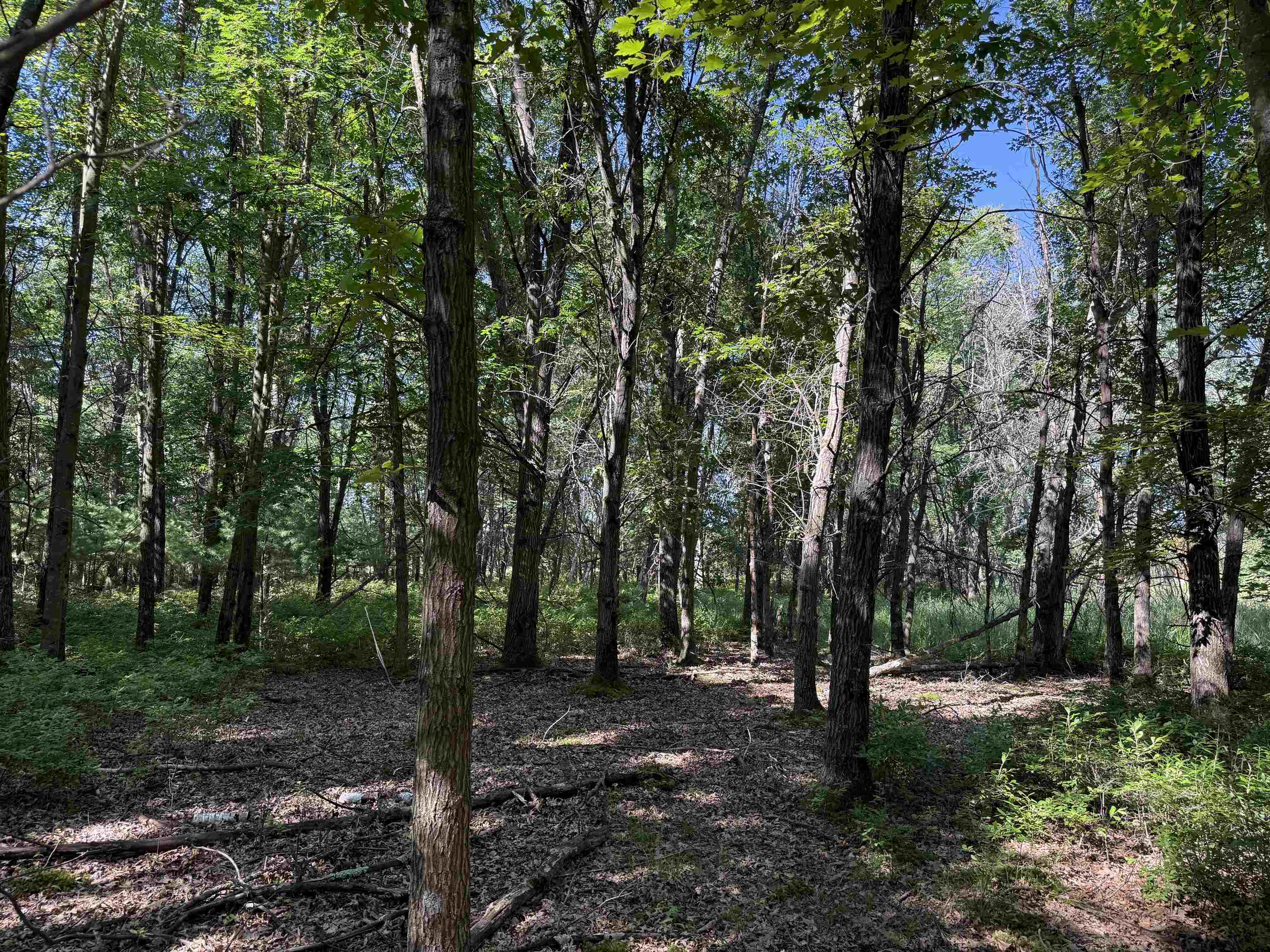 1.62-ac Deer Run Montello, WI 53949 - Photo 34 of 46