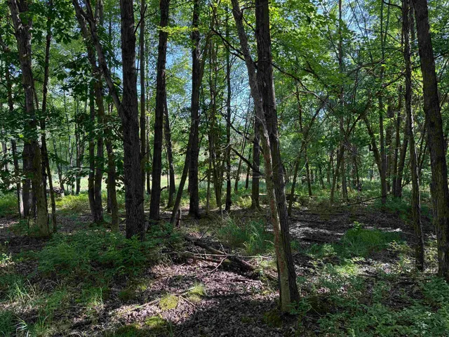 $80,000 | 1.62-ac Deer Run, Montello, WI 53949