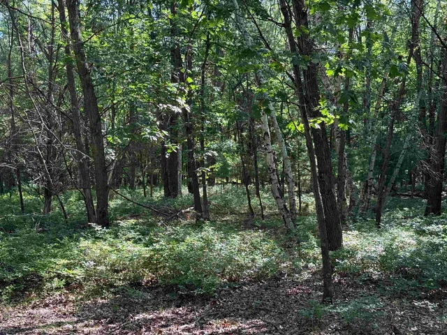 $80,000 | 1.62-ac Deer Run, Montello, WI 53949