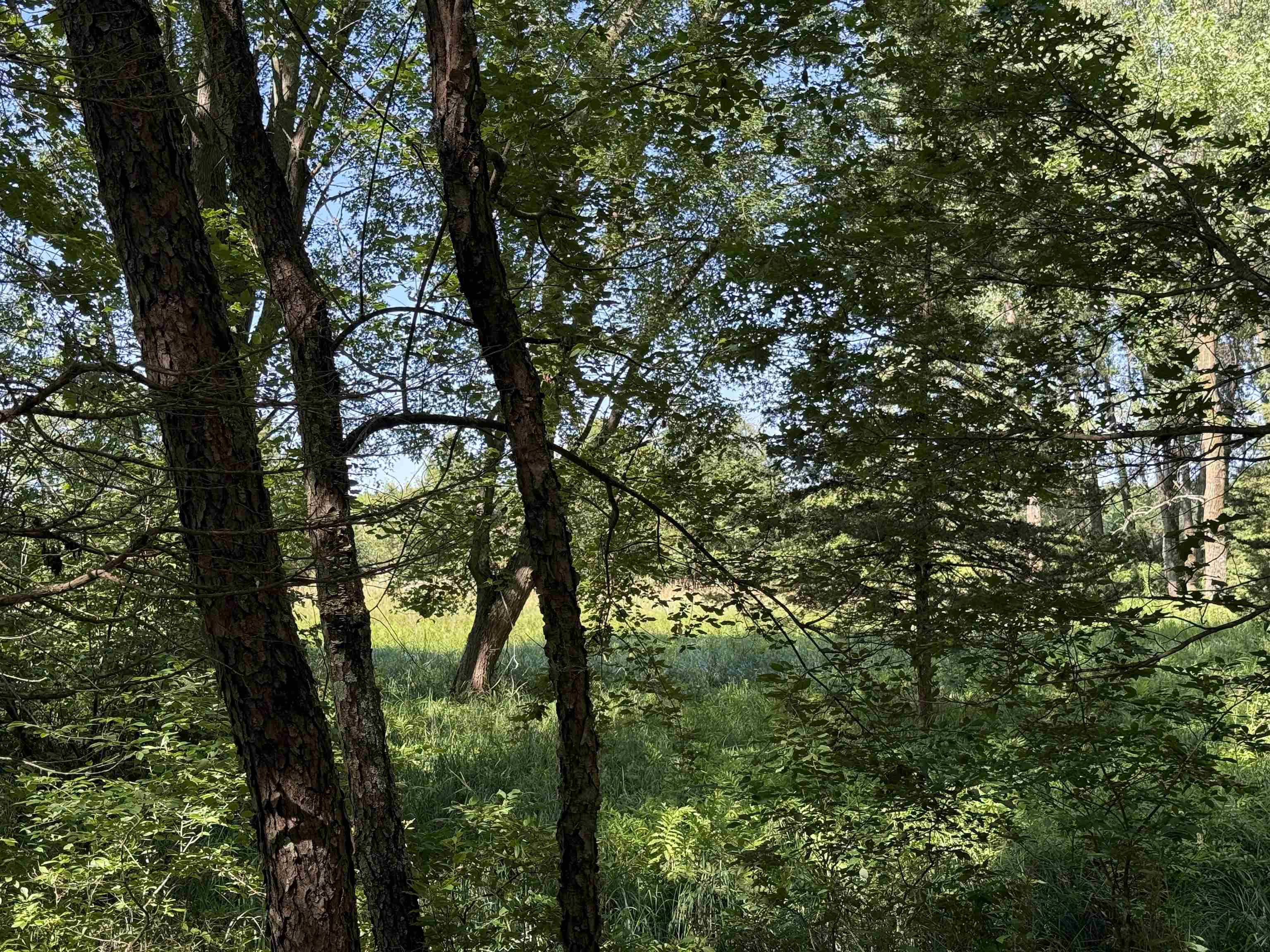 1.62-ac Deer Run Montello, WI 53949 - Photo 41 of 46