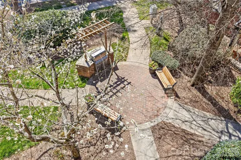 a view of a yard with plants and trees