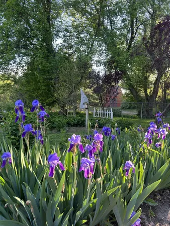 $525,000 | 1799 East U S 10, Custer, MI 49405