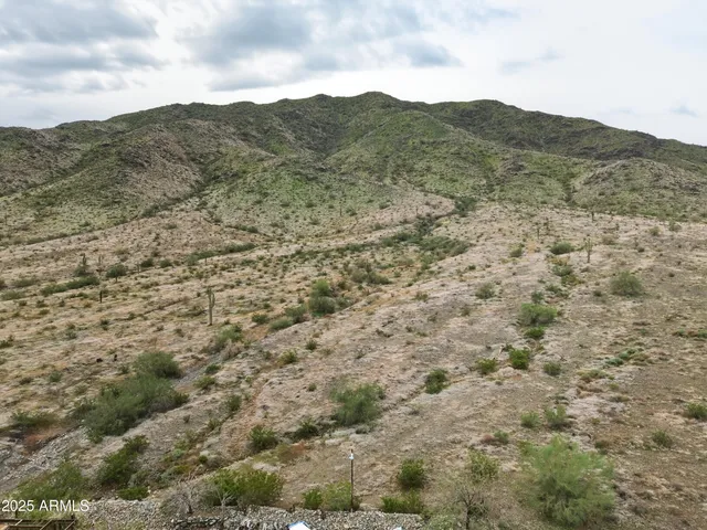 a view of a dry field with mountains in the background