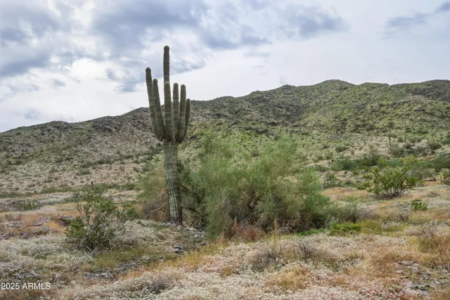 a view of a field with mountains in the background