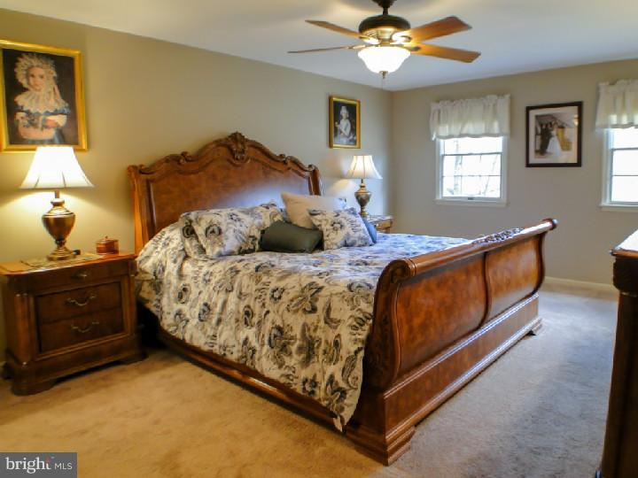 3123 Creamery Road New Hope, PA 18938 - Photo 10 of 25 Master Bedroom