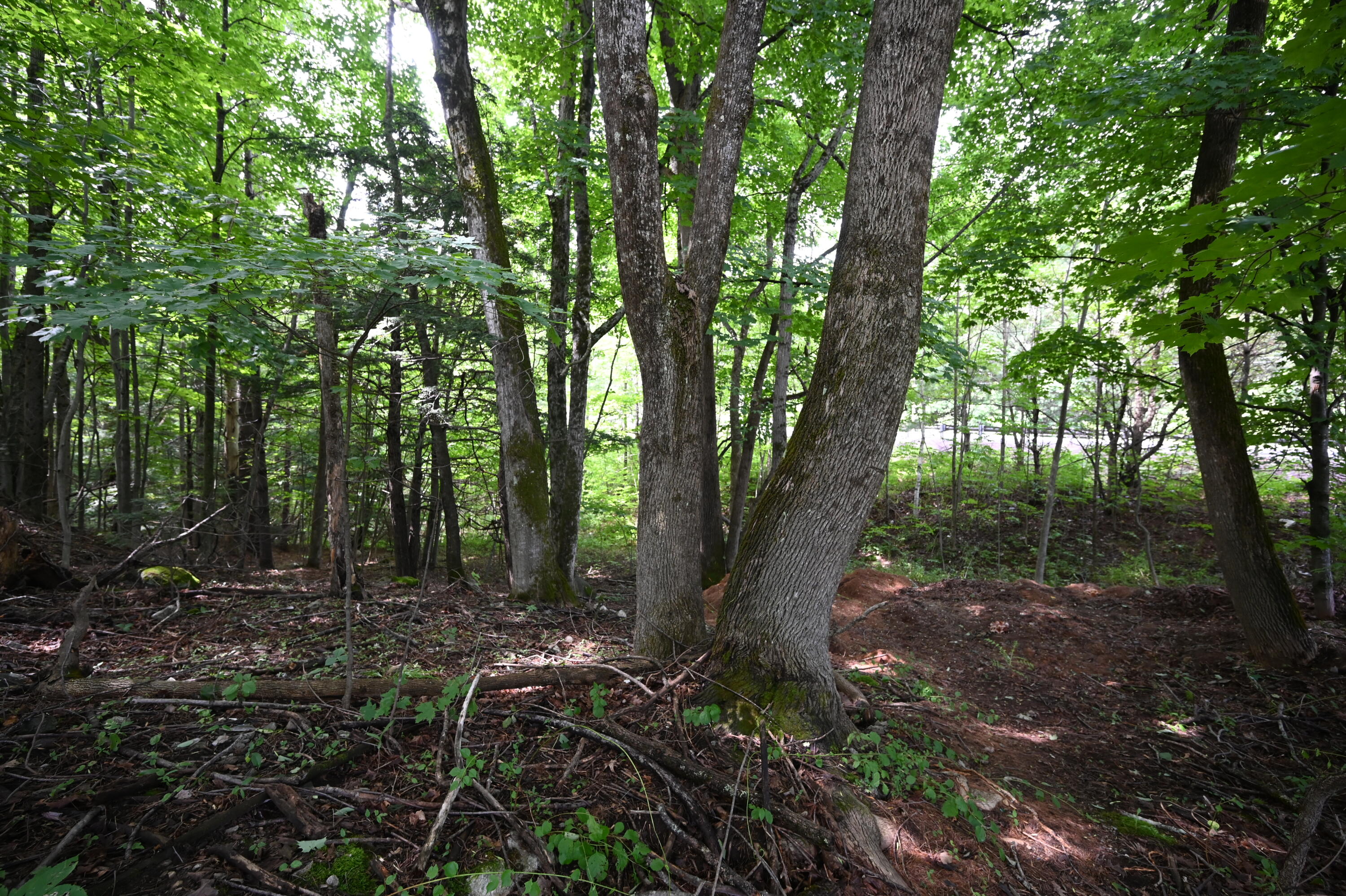 Lot# Federal Road Livermore, ME 04253 - Photo 3 of 9 Lot