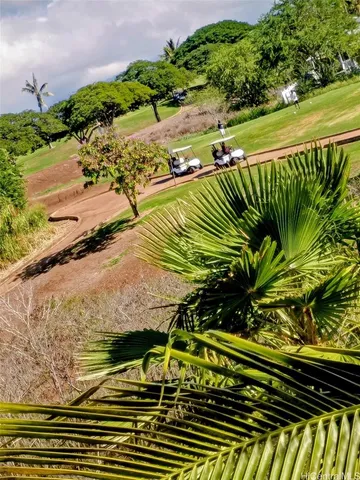 a view of a yard with plants