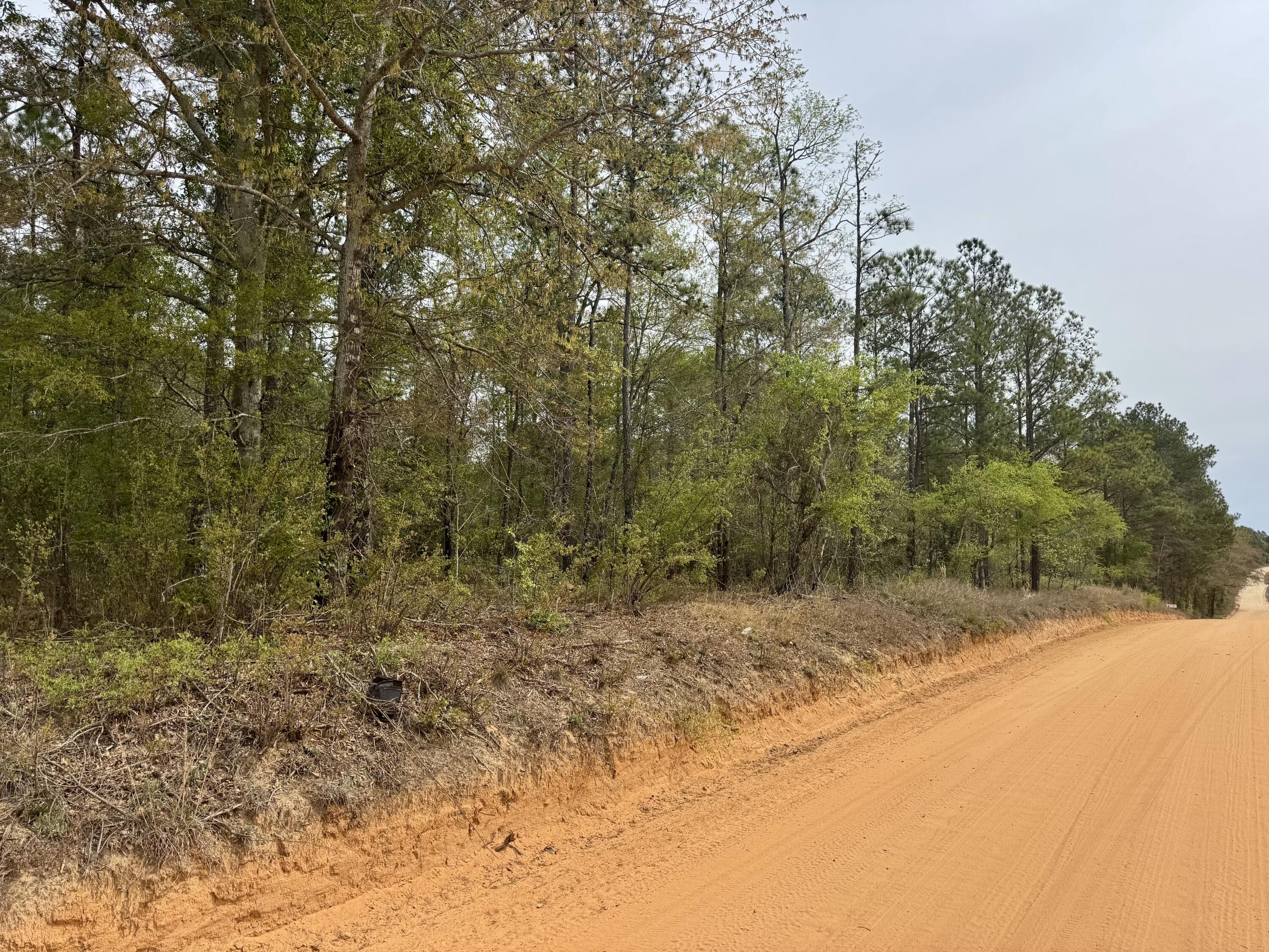 0 Goose Platter Road Batesburg, SC 29006 - Photo 2 of 4