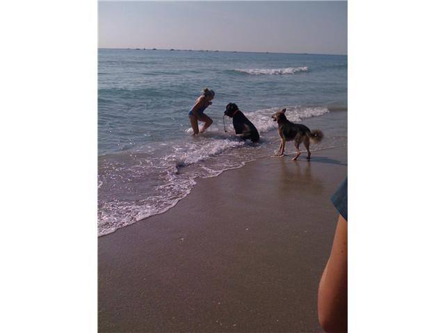 1475 Via Cameron Jupiter, FL 33477 - Photo 33 of 39 Walk to Dog friendly Beach